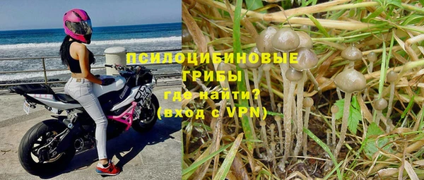 тгк Беломорск