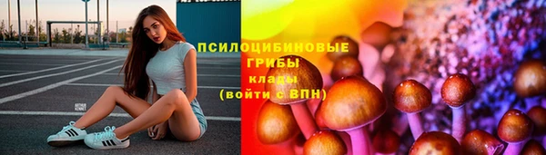 тгк Беломорск