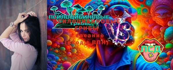 тгк Беломорск