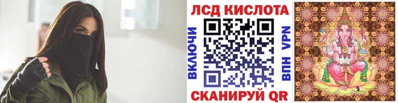 Купить закладки Новоржев Наркотические марки 1,5мг